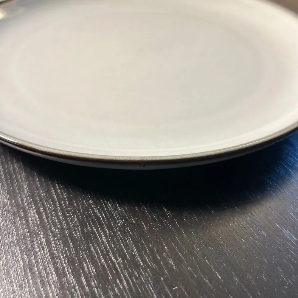 Ikea GLADELIG (5) Gray Stoneware Dinner Plates 10